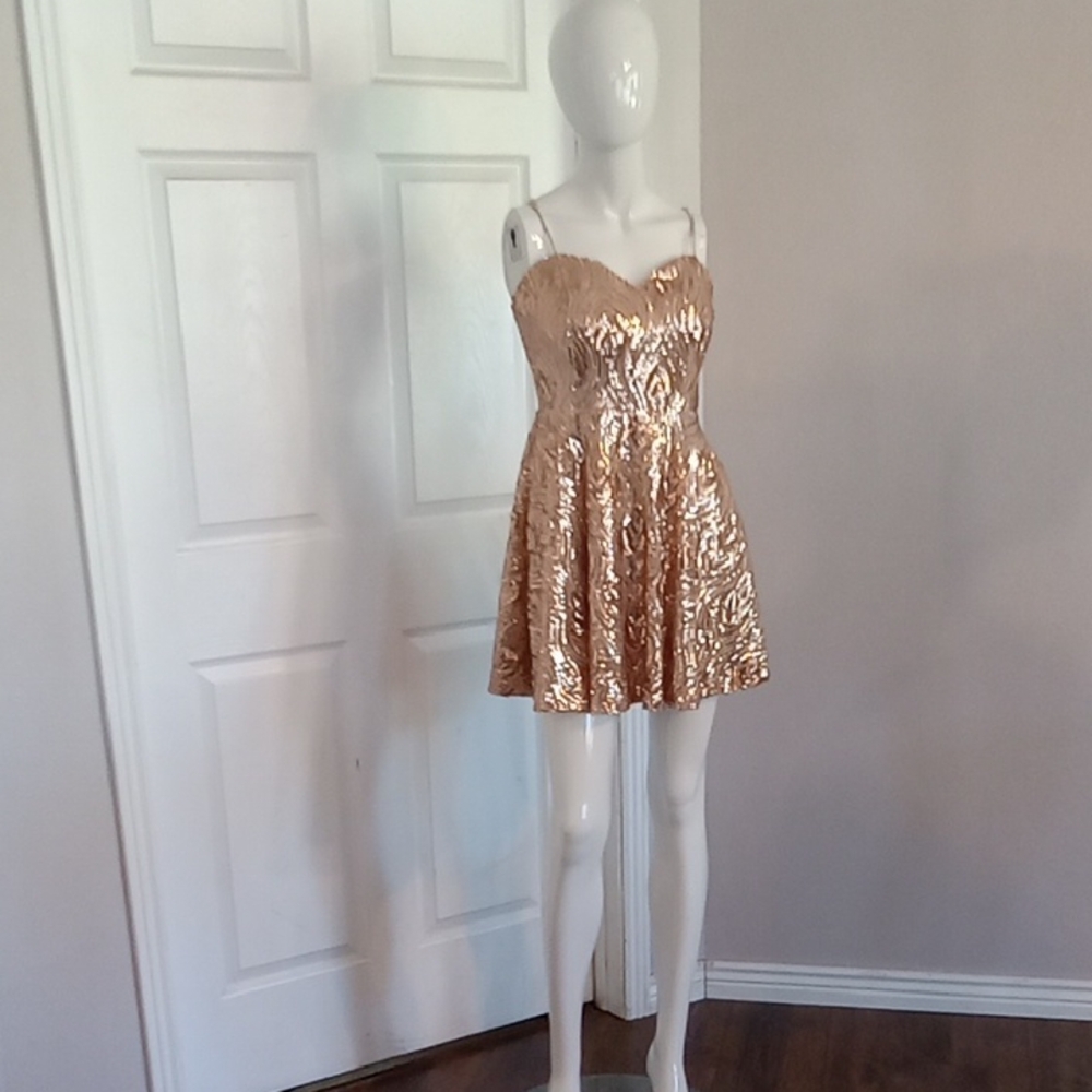 Nwt Windsor Rose Gold Homecoming Dress
